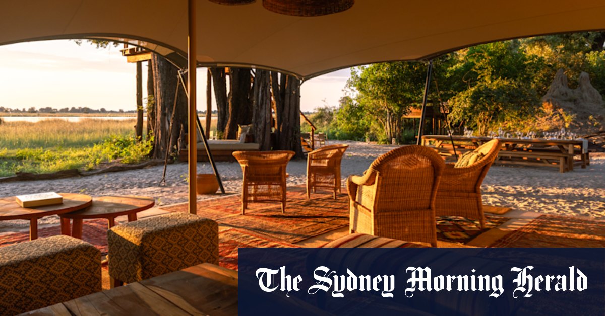 Pouncing lions, pronking springboks, poison-arrow lessons: Botswana’s safari idyll