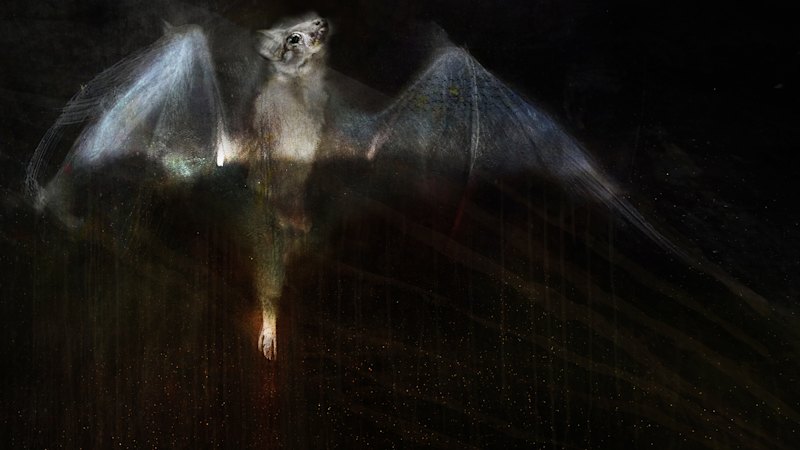 Verzna novela Judith Nangala Crispin razkriva vizionarski svet avstralskih puščav