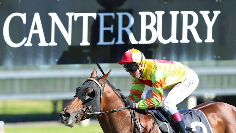 Trener Vella želi z mare Twinkling Star doseči novo zmago