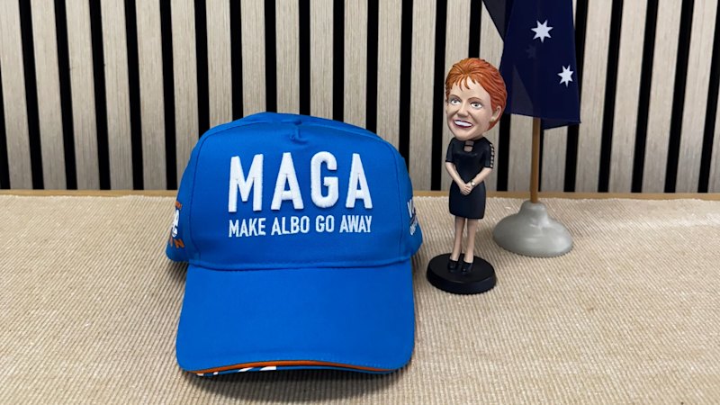 One Nation releases overdue financial accounts covering three years