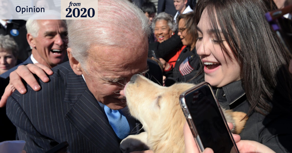 Trump has no dog in this fight