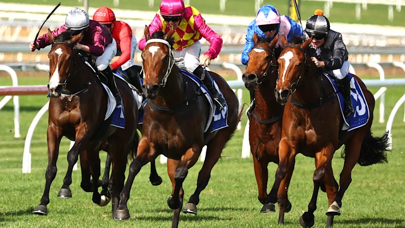 Race-by-race tips and previews for Scone on Sunday