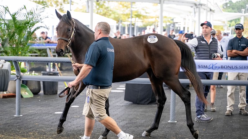  million filly Quinceanera will head to broodmare barn without racing