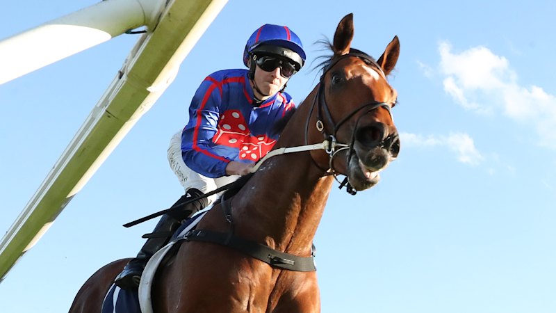 Guest House wins San Domenico at Rosehill, positioning for the Everest
