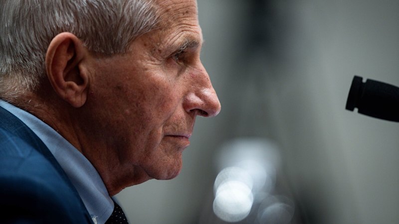 The Anatomy of Perpetual Outrage Why the Fauci Hearings Cemented American Fury