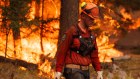 Canada is bracing for higher-than-normal wildfire activity to continue into August, as soaring temperatures and drought turn much of the country’s vast forests into kindling.