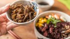 Bugs for dinner.