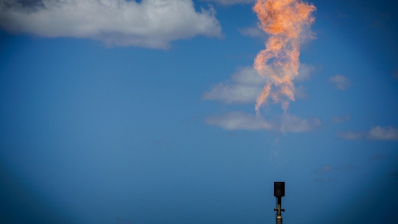 Labor considers capping carbon offsets for Australia's biggest polluters
