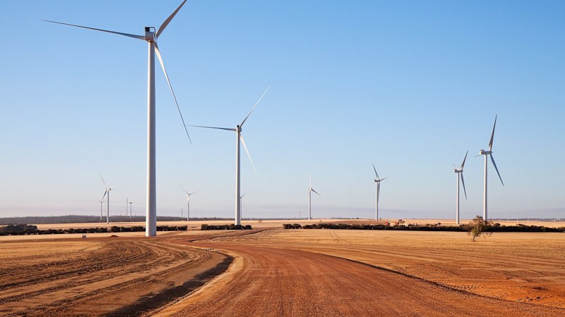 Business warns Cook's 75pc green grid target leaves industry exposed
