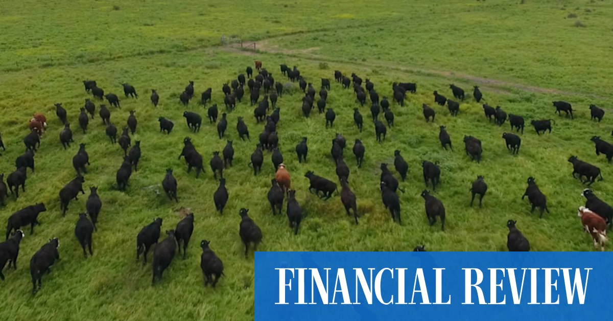 afr.com - Sarah Thompson, Kanika Sood, Emma Rapaport - Macquarie's Paraway agricultural empire lifts lid on profits amid sale