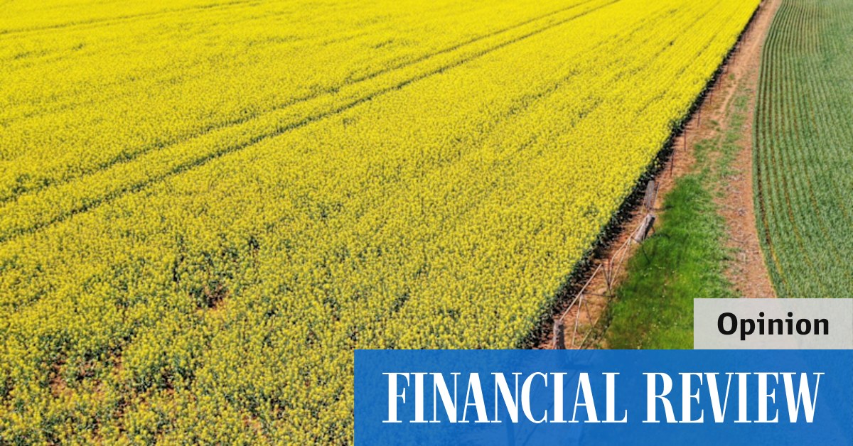 afr.com - Danny Elia - Fuel security can't be left to global markets