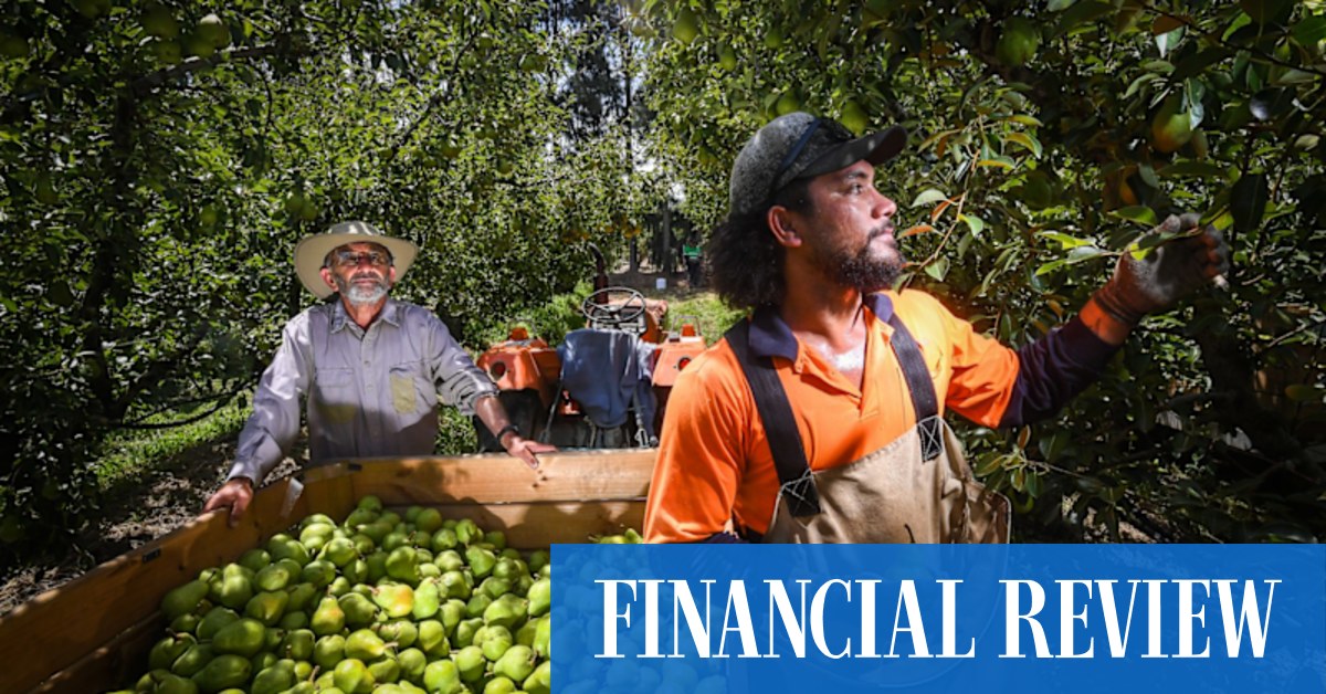 FC Capital loaned $120m to fruit grower chaired by its founder - Vimarsana News