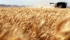 The bulk of the money raised in Wingara's capital raising would go towards increasing its storage capacity and inventory of hay.
