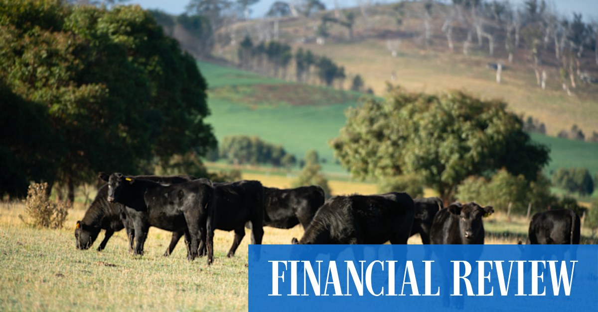 Beef wars: Australia and Brazil vie for America’s meat lovers