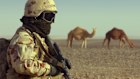 Buckling to the Taliban’s demands would also be a deadly insult to Australian personnel who fought in Afghanistan against the Taliban, to the families of those who died in the field, and to aid workers, including an Australian, whom the Taliban attacked using child suicide bombers.