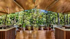 Silky Oaks is a luxury eco lodge by Baillie Lodges in the Daintree Rainforest