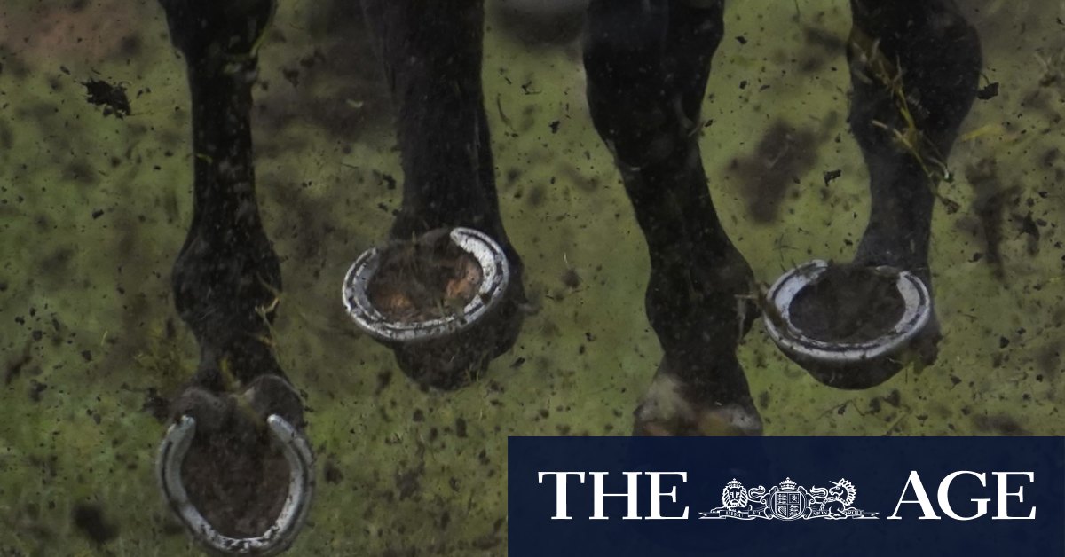 Pelatih didenda setelah kuda yang salah dibebani untuk berbaris dalam perlombaan negara