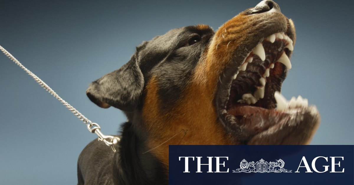 Perth woman seriously injured, dog shot in home mauling