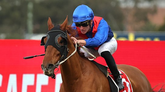 Golden Path runs away with the McKell Cup.