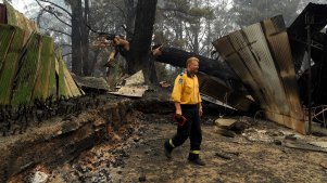 Wingello RFS Captain Mark Wilson checks the fire damage in the backyard of a home his brigade managed to save.