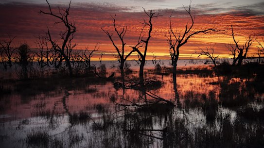 For the first time in a decade, the Menindee Lakes system in far western NSW are likely to fill to capacity. The NSW government wants to alter the regulations so that it can’t be drained as quickly as in the past.