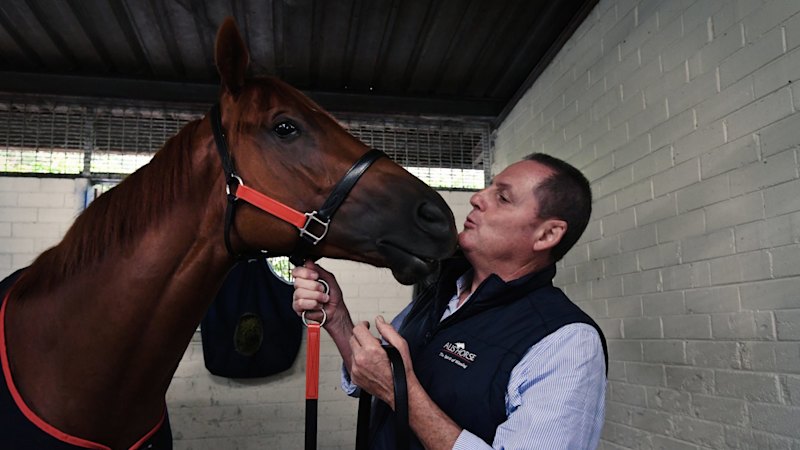 Horse Injury Lawsuit: Rider Sues Trainers & Breeder After Frightened Horse Incident