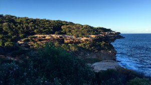 Sydney's Coastal Track, Royal National Park. Photo credit: Annie Dang