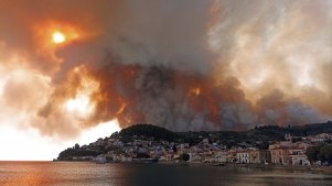 A mountain near Limni village on the island of Evia, about 160km north of Athens on fire last year as Greece grappled with its worst heatwave in decades.