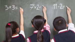 Any one primary school class will contain students as much as five years apart in maths skills, and teachers struggle to differentiate the lessons.