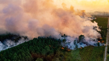 A wildfire near Landiras, southwestern France burning on July 16.