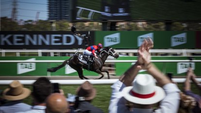 VRC will look at Cup prizemoney boost, but not threatened by NSW