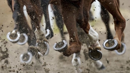 Racing returns to Moruya with a seven-race card.