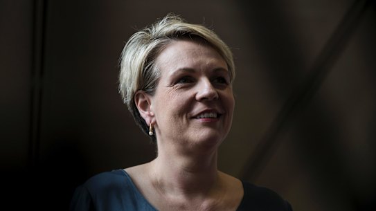 Labor's spokesperson for women, Tanya Plibersek, will release a national strategy for women's reproductive health on Wednesday. 