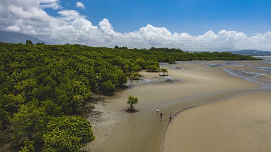 Hunting for bush tucker in the mangroves Supplied PR image for Traveller. Walkabout Adventures, Queensland. Mud crabs. Ben Groundwater story on Chef's Table episode featuringÂ Juan Walker from Walkabout Adventures. Photos from Tourism and Events Queensland