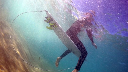 Researchers have confirmed that the majority of great white shark bites on humans are likely a case of mistaken identity.