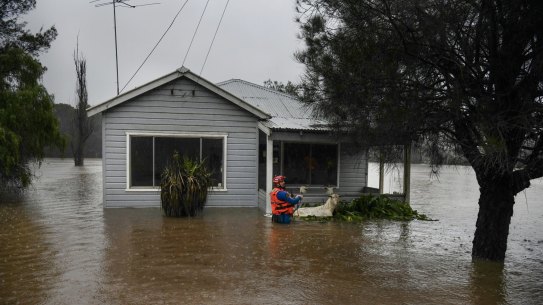 State Emergency workers rescue a group of goats from a submerged home in Wallacia on Sunday.