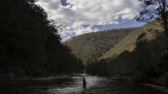 NEWS: Harry Burkitt from the Colong Foundation for Wilderness on the Kowmung River. The Kowmung River is one of the wild rivers expected to be flooded by the raising of the Warragamba Dam wall. 3rd September 2020, The Sydney Morning Herald.