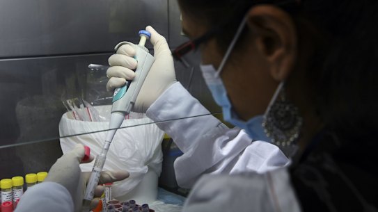 Senior Hospital Scientist Vidiya Ramachandran with a coronavirus sample in the Virology Laboratory at the Prince of Wales Hospital.