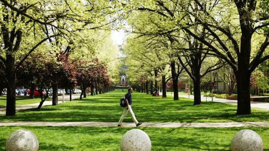 'Political agenda': ANU academics sound alarm on 'radically conservative' new degree