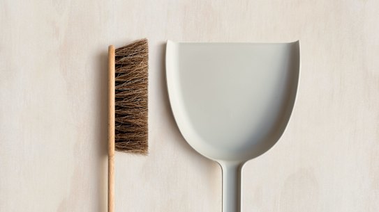 I already had a dustpan but it was a short-handled one, which meant I had to crawl around on the floor to sweep up fur, and it was wearing holes in the knees of my pants, and also wearing holes in the knees of my knees.