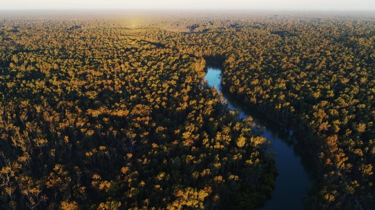 Reversal of national park bill spurs fears of 'open season' on environment