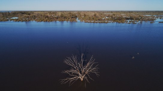 Narran Lakes in the NSW North West has had the biggest inflow since 2013 though itâs still not big enough for Colonial bird breeding. Photo Nick Moir
14 May 2020