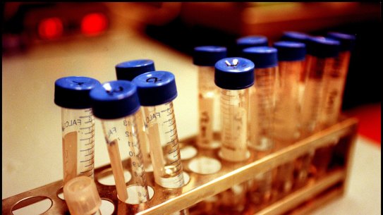 Members of the class action are seeking compensation for economic loss as well as pain and
suffering.