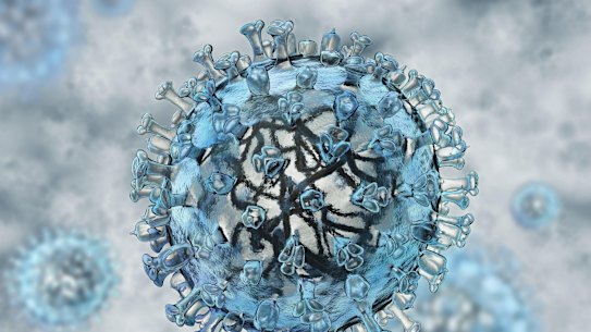 A model of a flu virus.