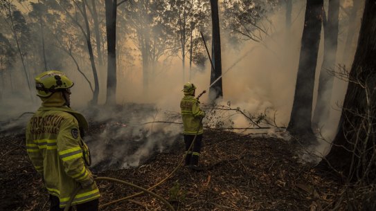 Firefighters battle the blazes in Taree South. 