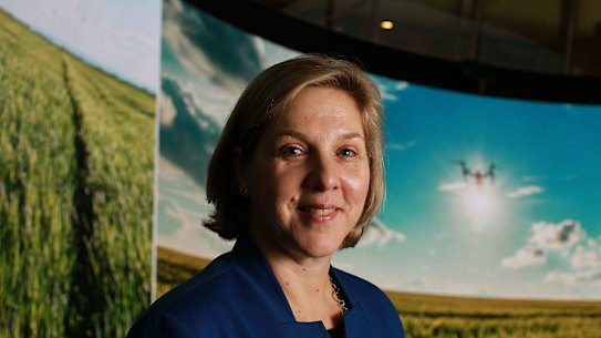 The two biggest proxy advisors have come out swinging against Tesla's Australian chairwoman Robyn Denholm.