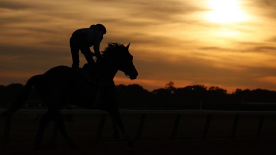Millions of dollars in Victorian bookmakers’ funds are feared missing. 