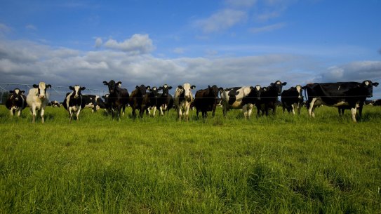 Australia's national farm representative group has endorsed a policy for an Australia-wide goal for net zero greenhouse gas emissions by 2030.