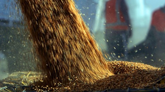 Graincorp plans to demerge its global malting business from its volatile east coast grains logistics businesses.