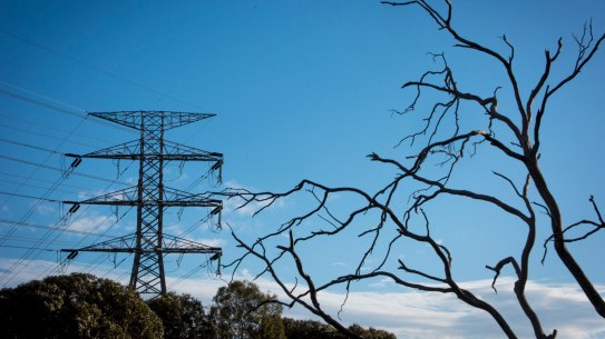 'No likelihood of relief ahead': Future power prices continue to rise